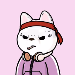 Shibe #2248