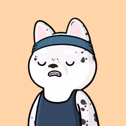 Shibe #1533