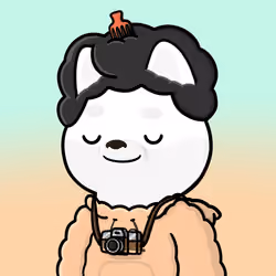 Shibe #2040