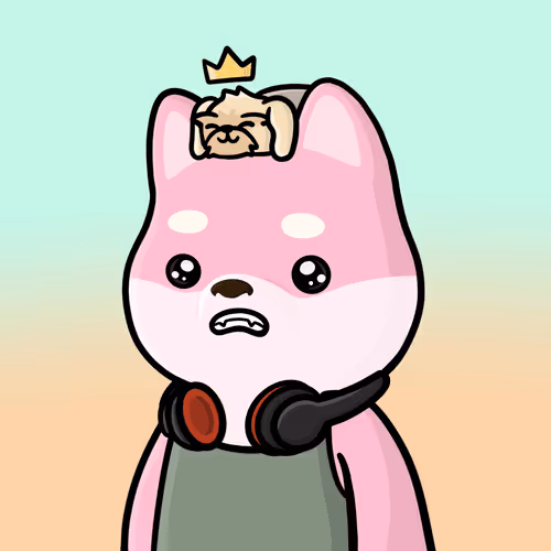 Shibe #5554
