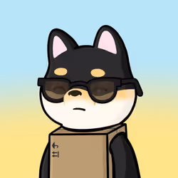 Shibe #4903