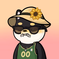 Shibe #2037