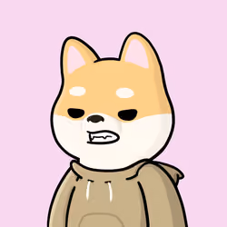 Shibe #2300