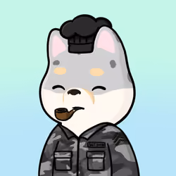 Shibe #3840