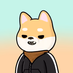 Shibe #5024
