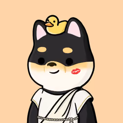 Shibe #2247