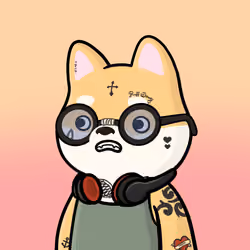 Shibe #2874