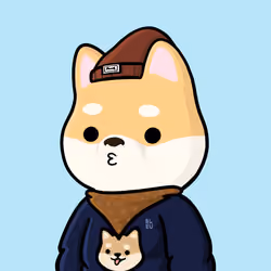 Shibe #1040