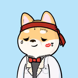 Shibe #572