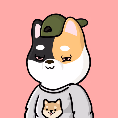 Shibe #2506