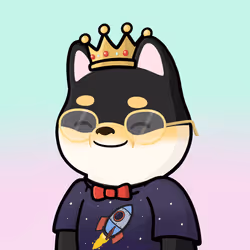 Shibe #713