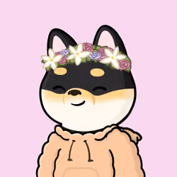 Shibe #4588