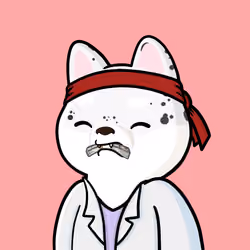 Shibe #2423
