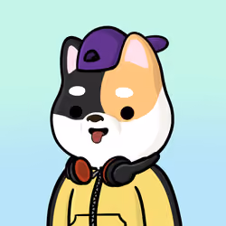 Shibe #5504