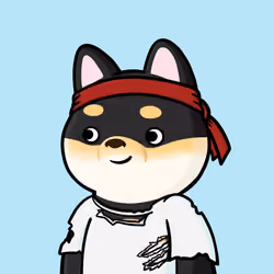 Shibe #383