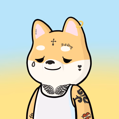 Shibe #5523