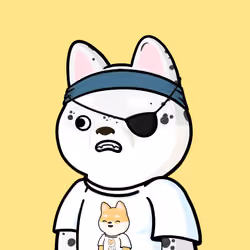 Shibe #4563