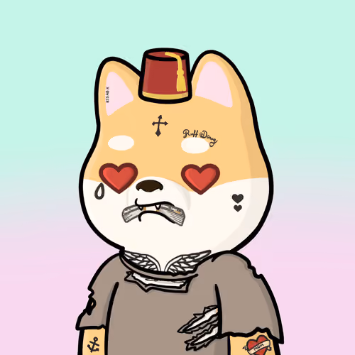 Shibe #2628