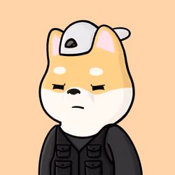 Shibe #2675