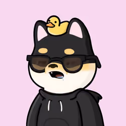 Shibe #3765