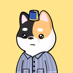 Shibe #422