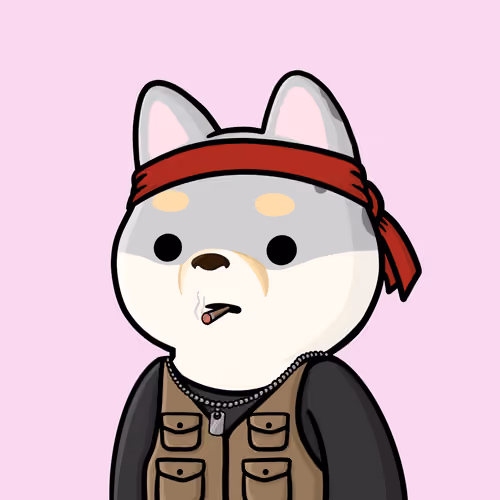 Shibe #684
