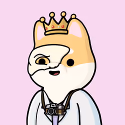 Shibe #409