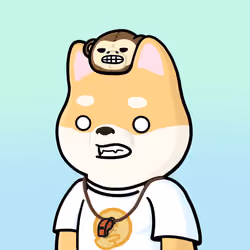 Shibe #850