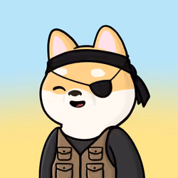 Shibe #3673