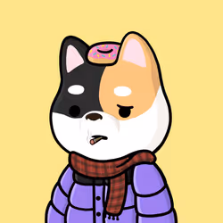 Shibe #492