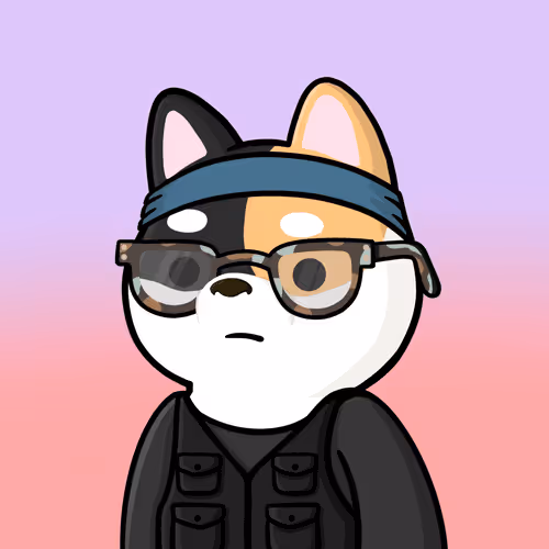 Shibe #4662