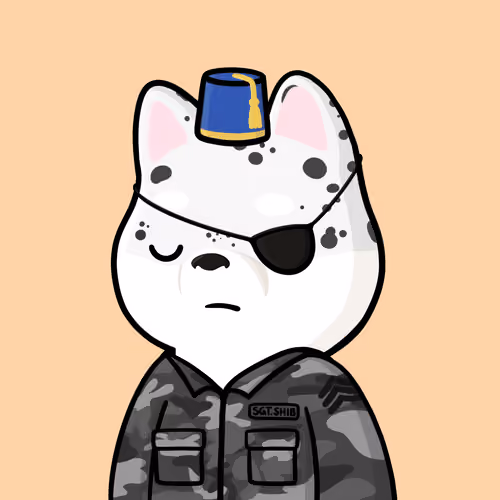 Shibe #3507