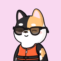 Shibe #2010