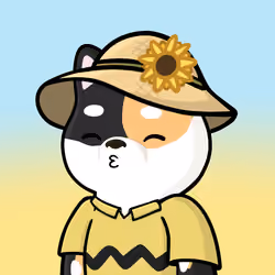 Shibe #5404