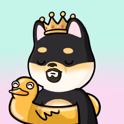 Shibe #2296