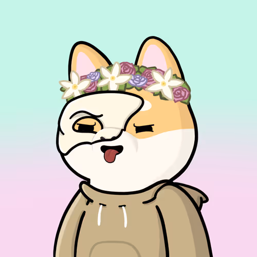 Shibe #1565