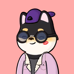 Shibe #5013