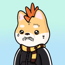 Shibe #4803