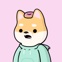 Shibe #2978