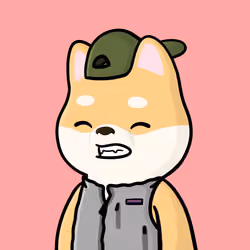 Shibe #205