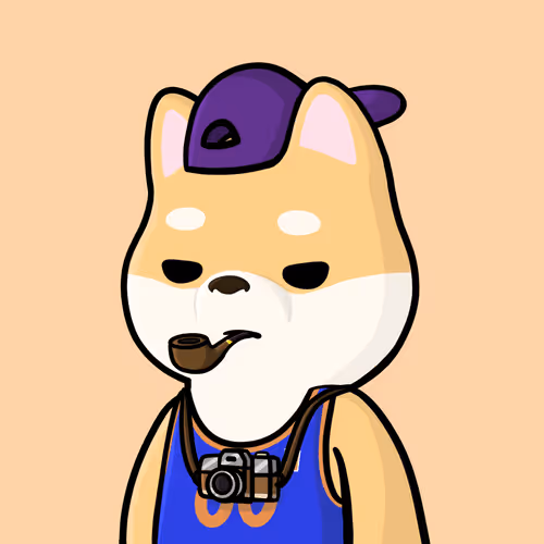 Shiba Shelter Nft