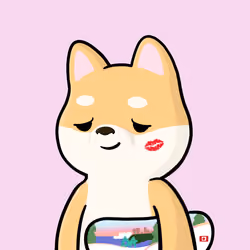 Shibe #1560