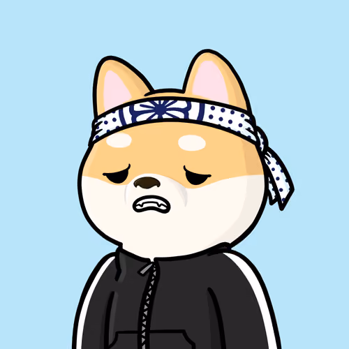 Shibe #2370