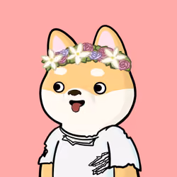 Shibe #4592
