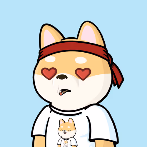 Shibe #5542
