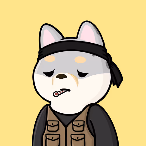Shiba Shelter Nft