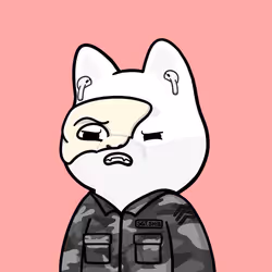 Shibe #1683