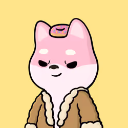 Shibe #722