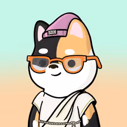 Shibe #1559