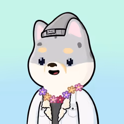 Shibe #3179